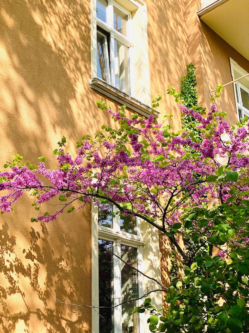 Our four tips for selling in spring