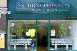 1993 Our Hisory - Anthony Pepe