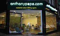 2020 Our Hisory - Anthony Pepe