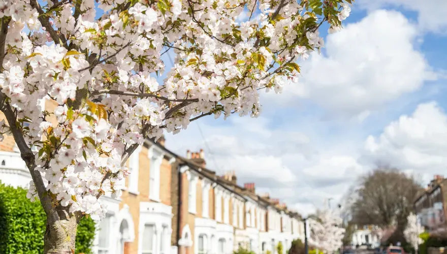 Spring Selling Season Sees House Prices Reach New Record