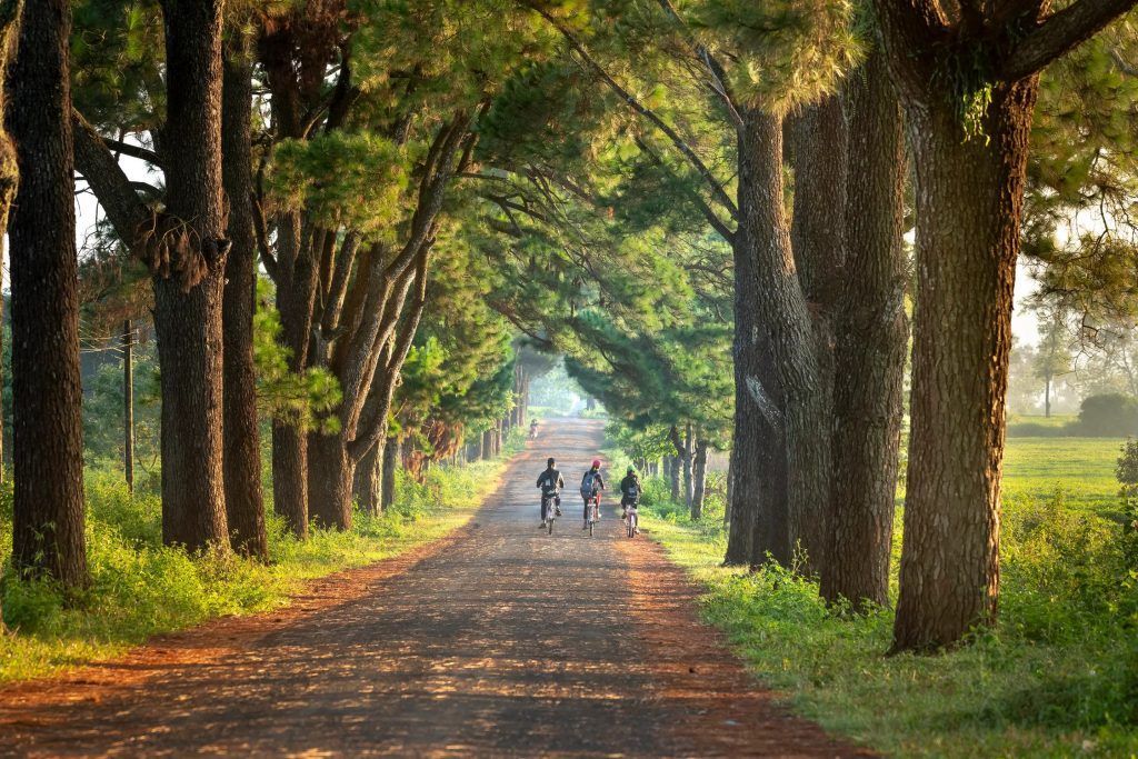 Moving to the countryside? Top 5 questions to ask yourself before going rural
