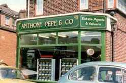 1987 Our Hisory - Anthony Pepe
